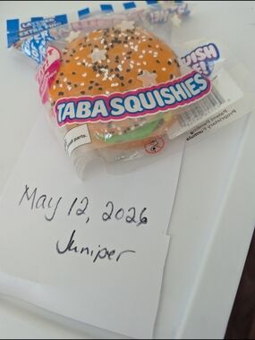 Taba Squishies Burger Squishy Toy - Orange Bun